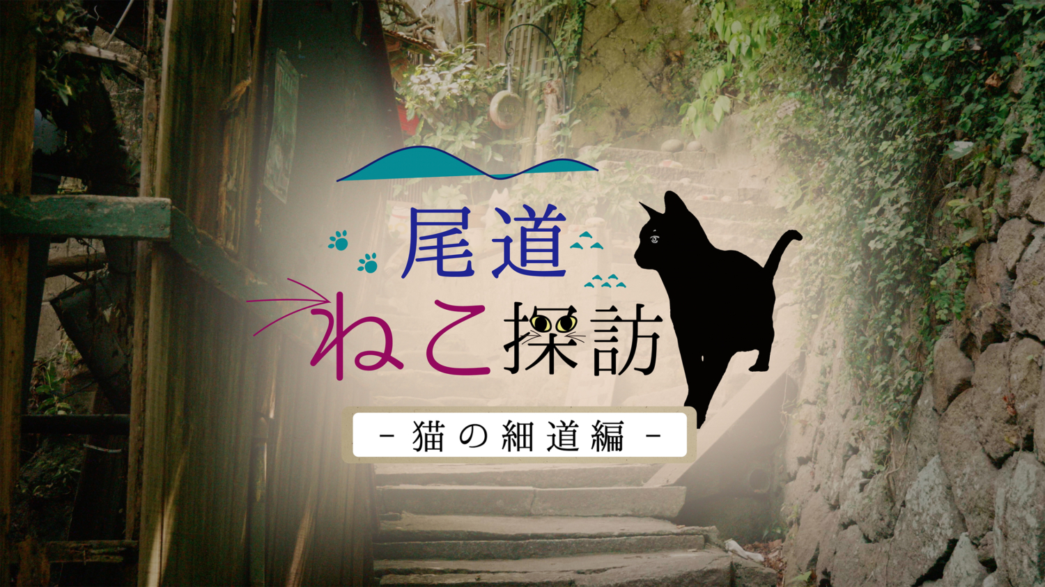 CATV局番組「尾道ねこ探訪」